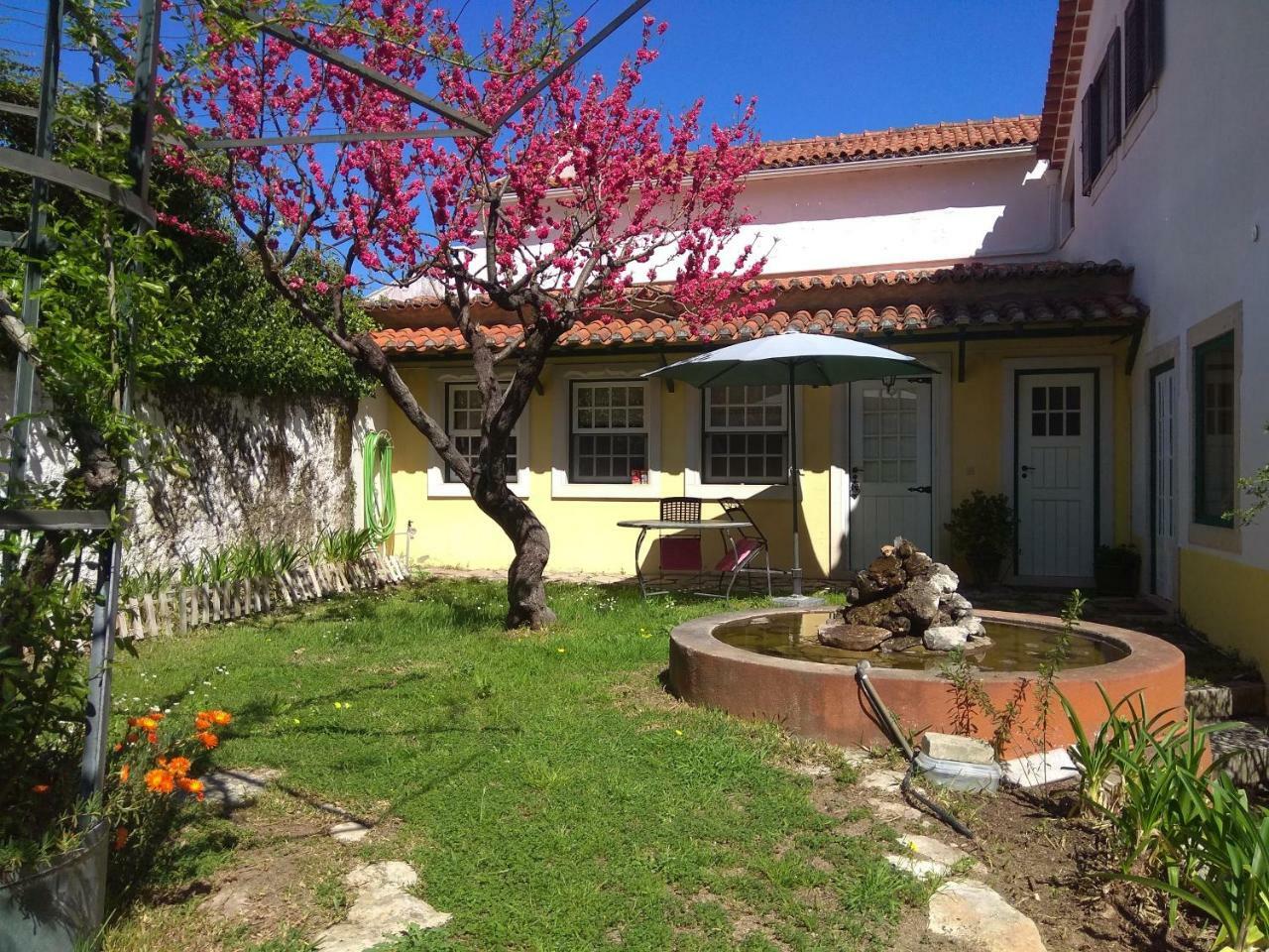 Гостевой дом Casa Dos Arrabidos Торриш-Новаш Экстерьер фото